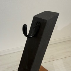 ビカクシダスタンドの画像