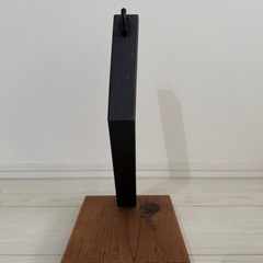 ビカクシダスタンドの画像