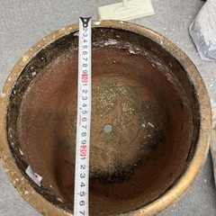 鉢の画像