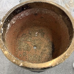 鉢の画像