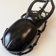 おおもちゃの画像