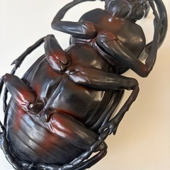 おおもちゃの画像