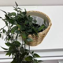 IKEA イケア　造花　鉢付きの画像