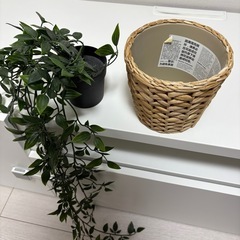 IKEA イケア　造花　鉢付きの画像