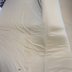 【ジャンク品】トゥルースリーパー（セミダブル）の画像