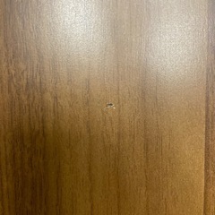 【来店いただける方限定】ワードローブ2枚扉【トレファク摂津店】の画像