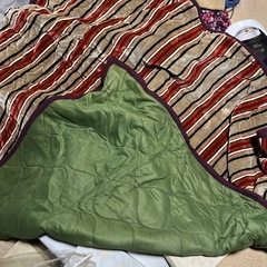こたつ敷き布団の画像