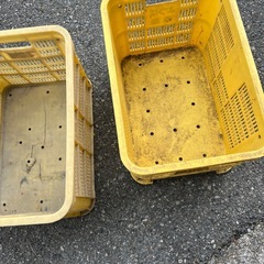 コンテナ籠の画像