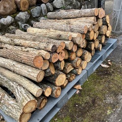 薪の木　玉切り　広葉樹　針葉樹　お好みに応じての画像