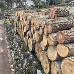 薪の木　玉切り　広葉樹　針葉樹　お好みに応じての画像