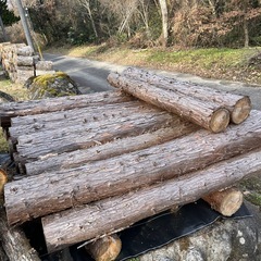 薪の木　玉切り　広葉樹　針葉樹　お好みに応じての画像