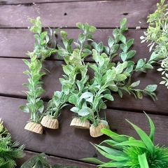 水槽 フェイクグリーンの画像