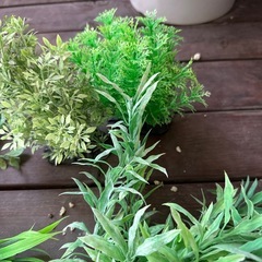 水槽 フェイクグリーンの画像