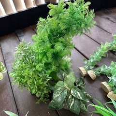 水槽 フェイクグリーンの画像