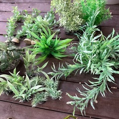 水槽 フェイクグリーンの画像