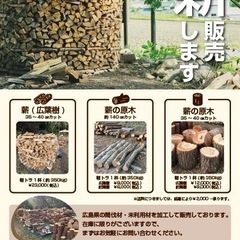 薪の木　玉切り　広葉樹　針葉樹　お好みに応じての画像