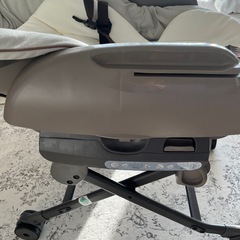 ネムリラ　オートスウィングの画像