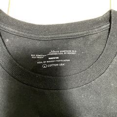 【美品】AZUL USAコットンクルーネックTシャツ（L）送料無料の画像