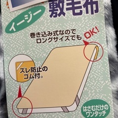 三菱レイヨン　抗菌防臭　敷毛布の画像