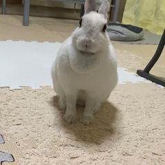 優しい里親様に出会えました🥹