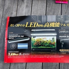 GEX 60cm 水槽　　曲げガラス　の画像