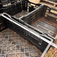 管JA001  農業用コンテナ　1パレット32個 在庫約500個の画像