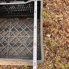 管JA001  農業用コンテナ　1パレット32個 在庫約500個の画像