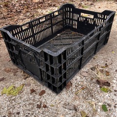 管JA001  農業用コンテナ　1パレット32個 在庫約500個の画像