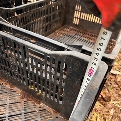 管JA001  農業用コンテナ　1パレット32個 在庫約500個の画像