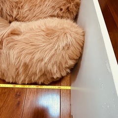 超大きなクマさんの画像