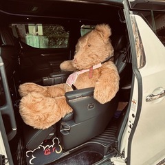 超大きなクマさんの画像