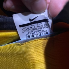 NIKE AIR MAX FLAIR UNIVERSITY GOLDの画像