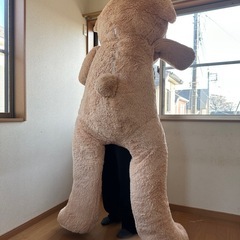 ビッグベアーの画像