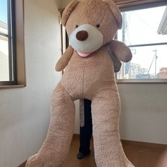 ビッグベアーの画像