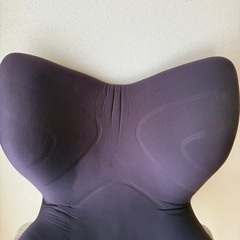  Style PREMIUM  骨盤矯正 姿勢矯正 姿勢サポートの画像