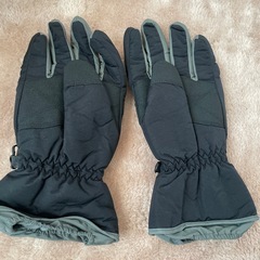 スキーグローブ Lサイズの画像