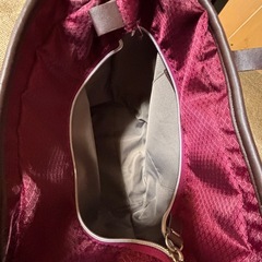 お出かけキャリー　幸和製作所　フリーナ102の画像