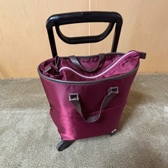 お出かけキャリー　幸和製作所　フリーナ102の画像