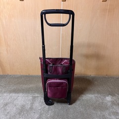 お出かけキャリー　幸和製作所　フリーナ102の画像