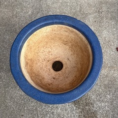 植木鉢　生子12角輪型リンガタ鉢 10号の画像