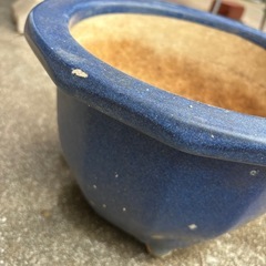 植木鉢　生子12角輪型リンガタ鉢 10号の画像
