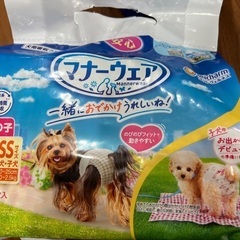 犬のおむつの画像