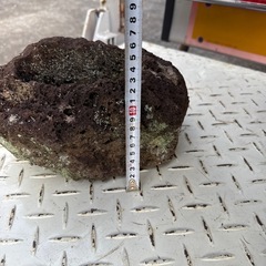 軽石　溶岩石 植木鉢の画像