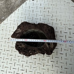 軽石　溶岩石 植木鉢の画像