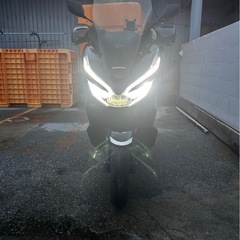 HONDA PCX（2018年式）ブラックの画像