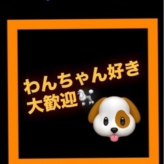 保護犬カフェ☕️のサビ管募集✨の画像