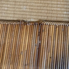 籐むしろカーペットの画像