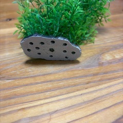 美品 人工水草 フェイク 金魚熱帯魚 水槽の画像