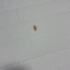 無印　シングルベッド
の画像