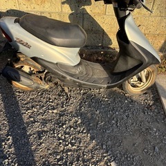 ホンダ AF35 ライブディオの画像